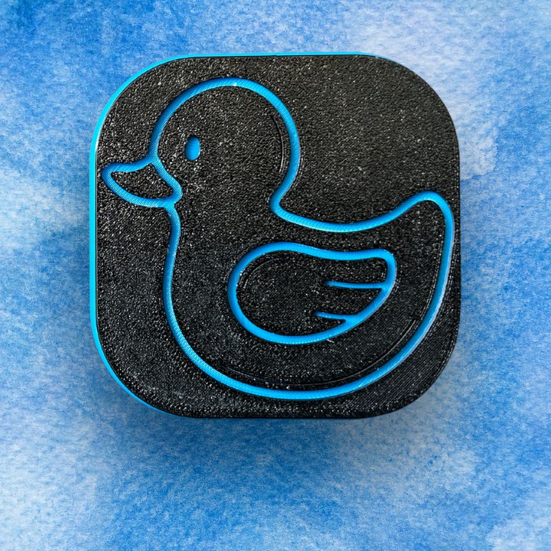 Blue Duck